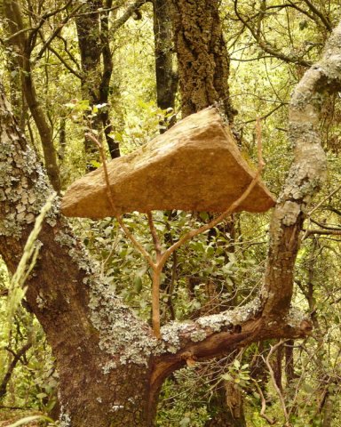 land art sur le chemin